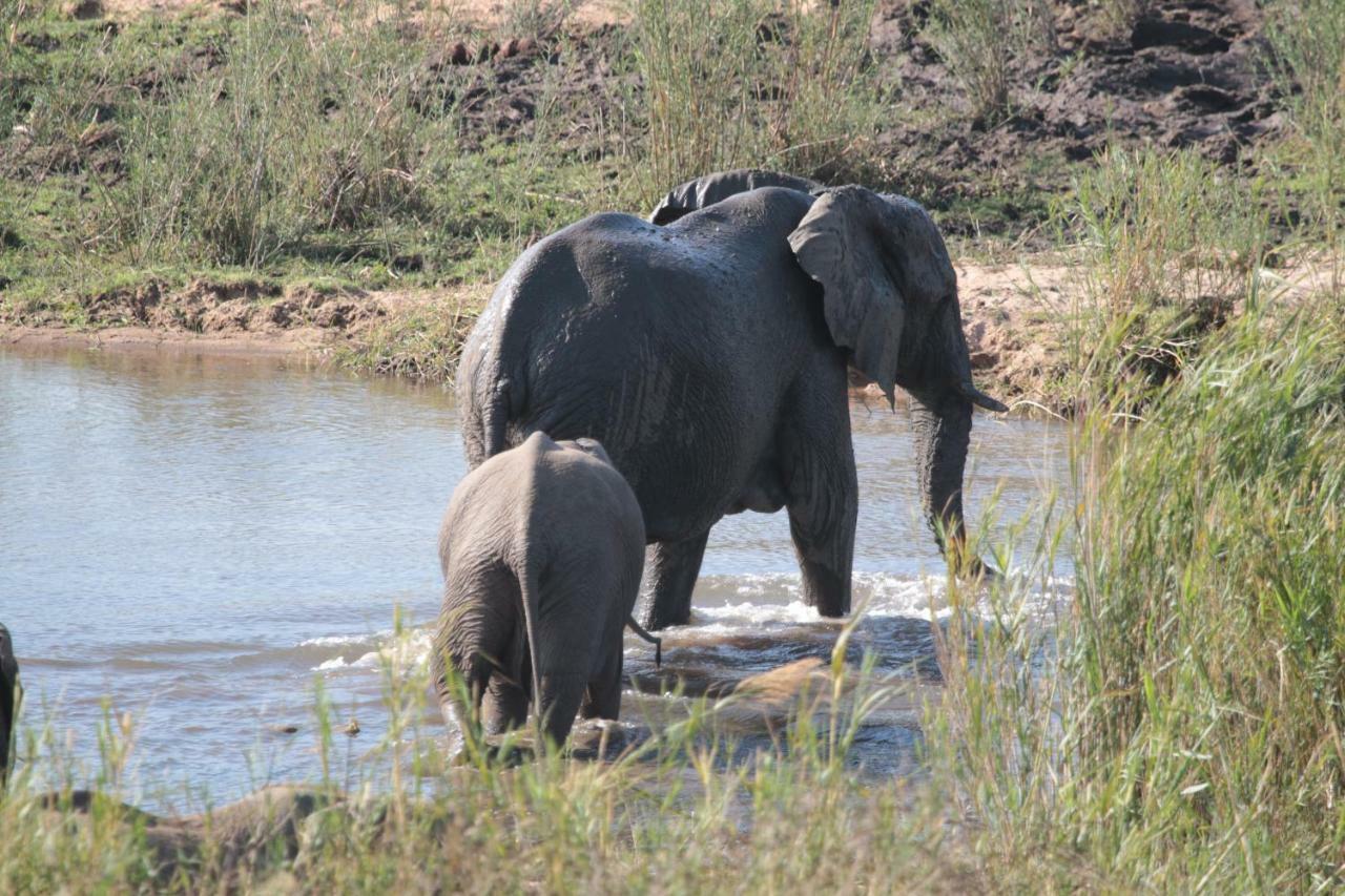 Njiri Lodge - Your Part Of Africa มาร์ลอทพาร์ค ภายนอก รูปภาพ